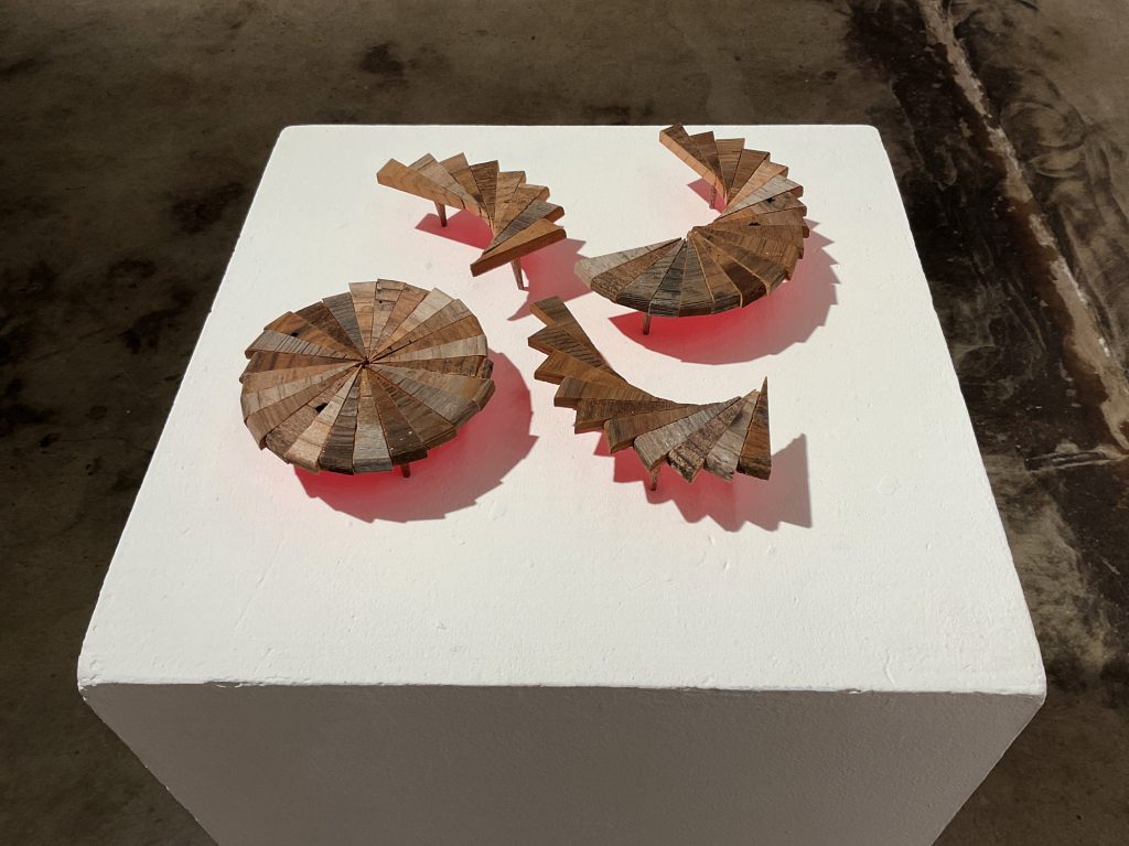 Taro Hattori the Useless